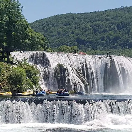 Galijasevic *